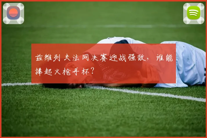 兹维列夫法网决赛迎战强敌，谁能捧起火枪手杯？