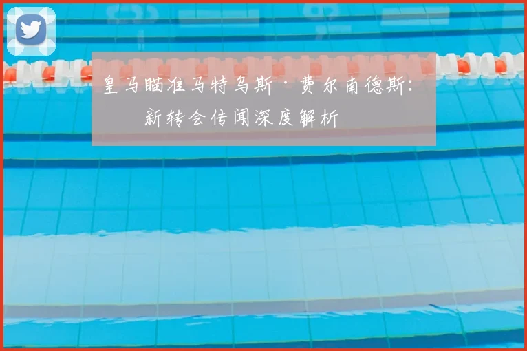 皇马瞄准马特乌斯·费尔南德斯:最新转会传闻深度解析