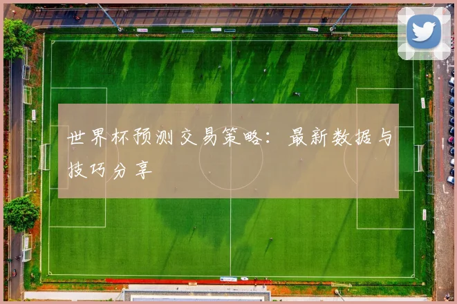 世界杯预测交易策略：最新数据与技巧分享